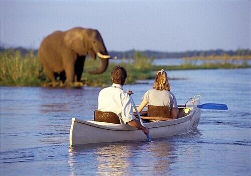 Lake Manyara Canoeing