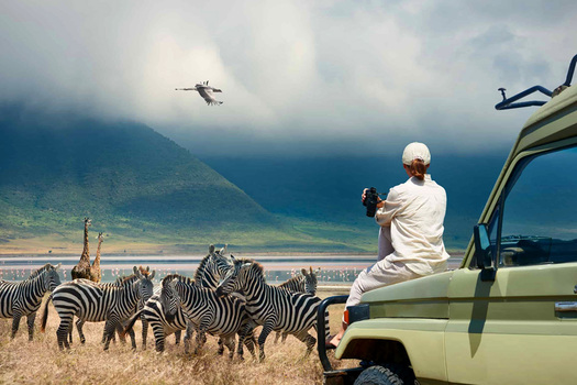 What is The Best Time to Go to Tanzania?