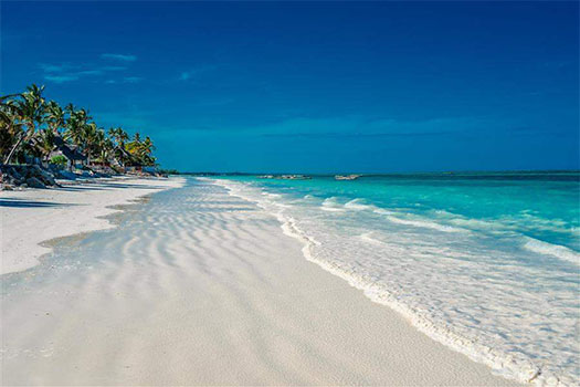 8 Days Lodge safaris & Zanzibar